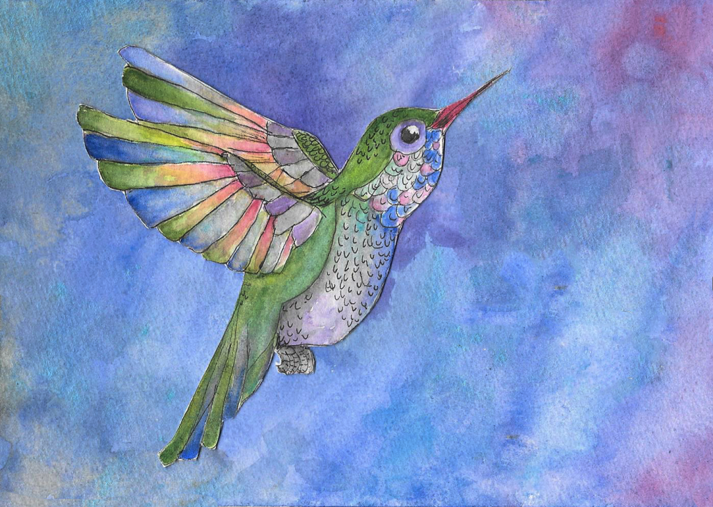 "Hummingbird", Watecrolor and pen